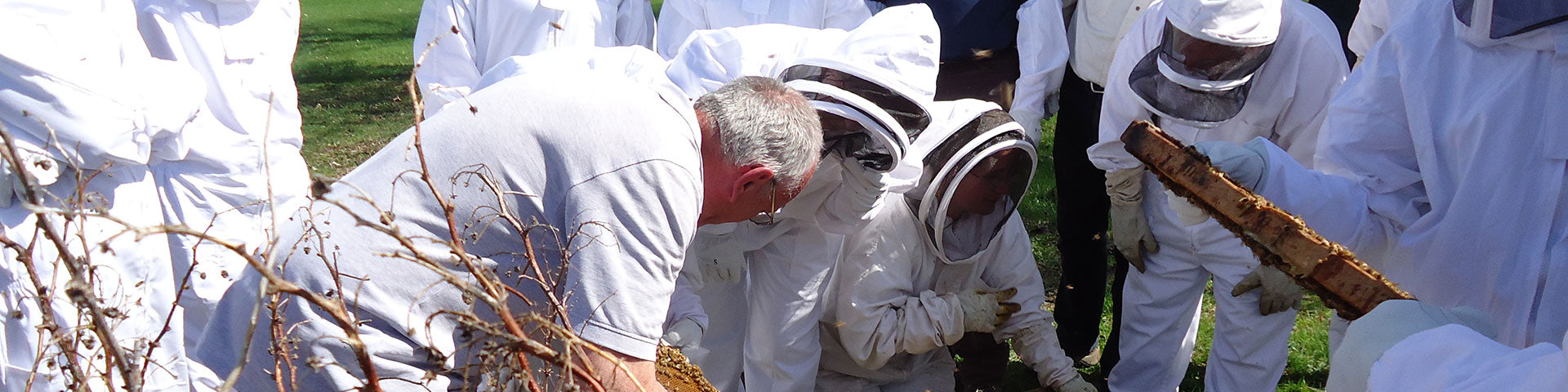 Formations en apiculture