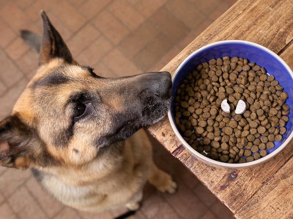 wagworthy naturals hip and joint supplement can be fed as a treat or added to your dog's food