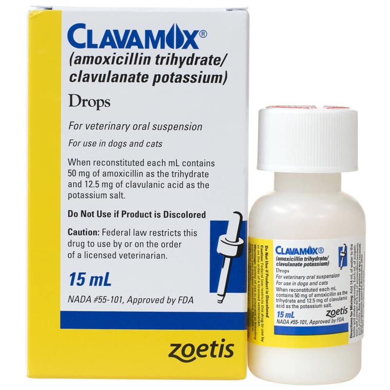 can amoxicillin clav cobe used for dogs