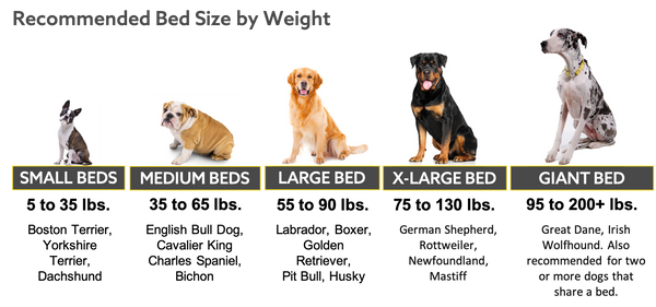 Dog Bed Size Chart By Bread and Weight