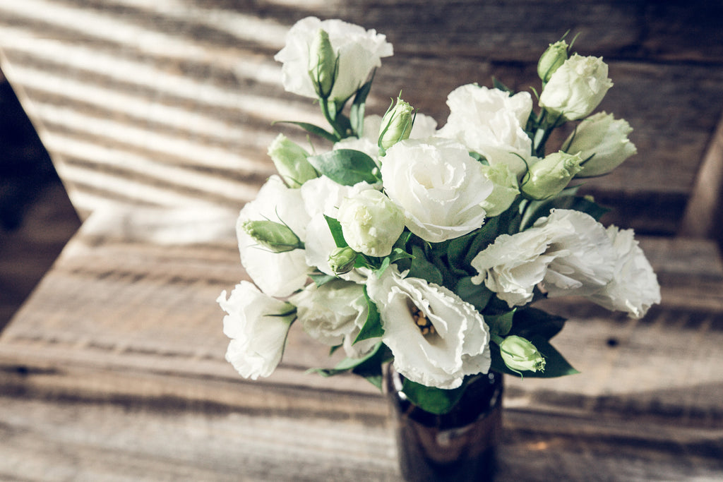 white lisianthus