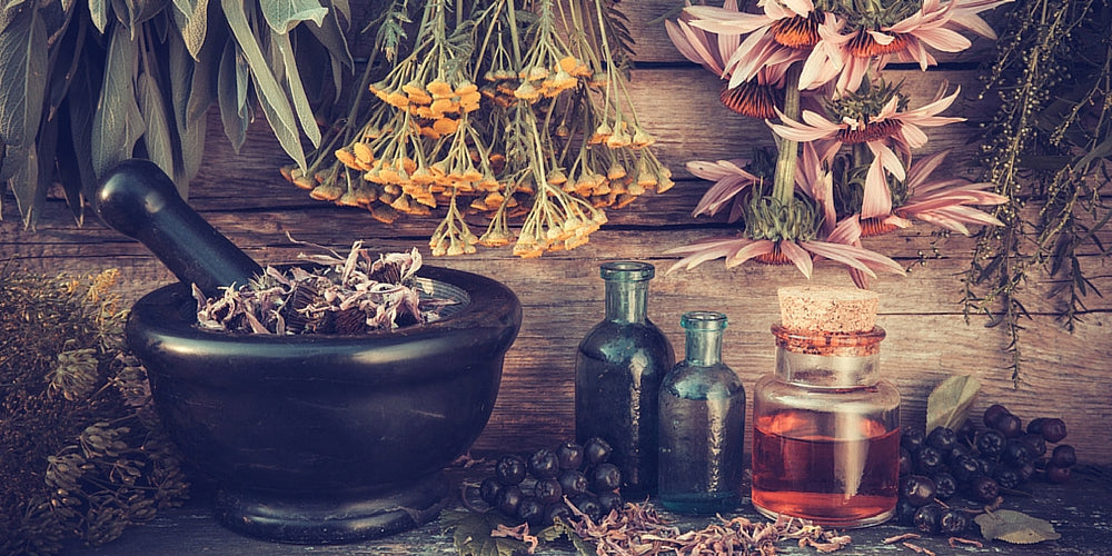 Essential Oils From Plants