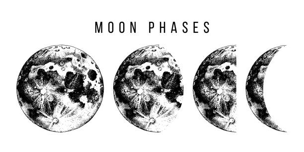 Sleep Cycles Linked to Moon Phases - PlushBeds