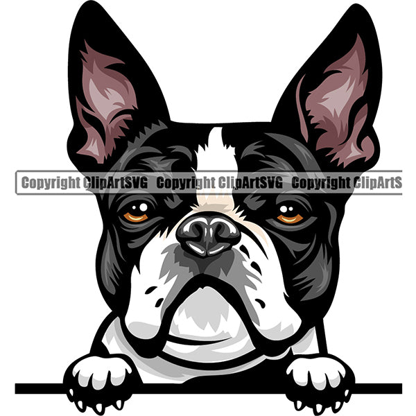 Dogs Peeking Color – ClipArt SVG