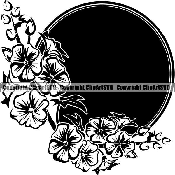 Nature Flower Mallow 8iik4 Jpg Clipart Svg