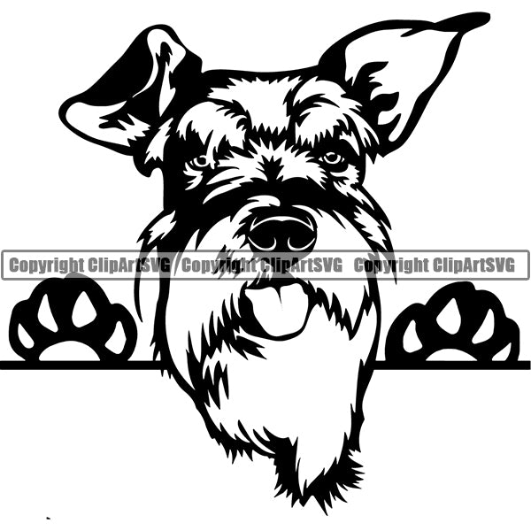 Download Schnauzer Peeking Dog Breed Clipart Svg Clipart Svg Yellowimages Mockups
