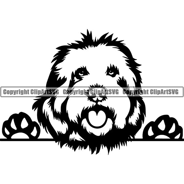 Download Goldendoodle Peeking Dog Breed Clipart Svg Clipart Svg PSD Mockup Templates