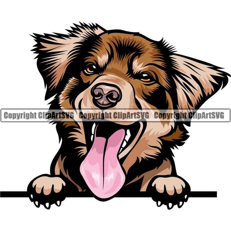 australian shepherd clipart