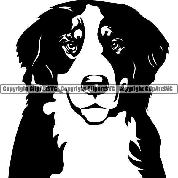 Download Bernese Mountain Dog Breed Head Face Clipart Svg Clipart Svg PSD Mockup Templates