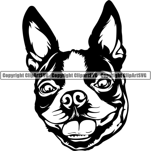 Boston Terrier Dog Breed Head Face ClipArt SVG – ClipArt SVG