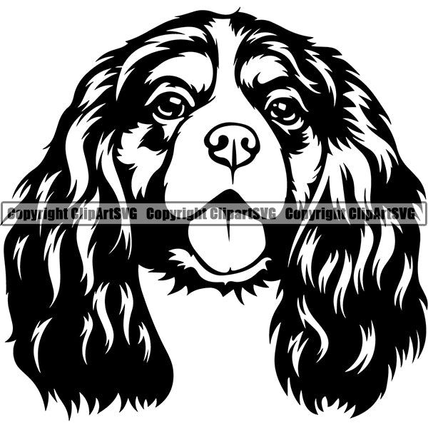 Cavalier King Charles Spaniel Dog Dog Breed Head Face Clipart Svg Clipart Svg