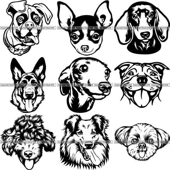 9 Dog Breed Top Selling Designs Cartoon Head Face Bundle Clipart Svg Clipart Svg