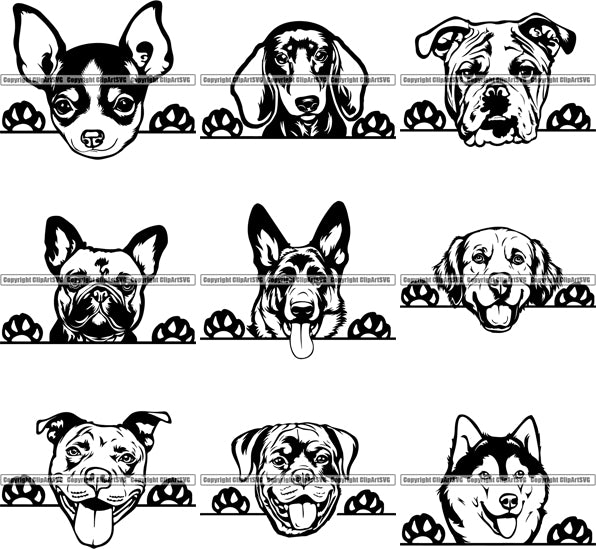Download 9 World Famous Peeking Dog Breed Top Selling Designs Bundle Clipart Svg Clipart Svg Yellowimages Mockups