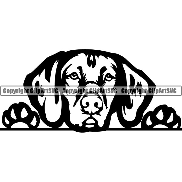Download Vizsla Peeking Dog Breed Clipart Svg Clipart Svg PSD Mockup Templates