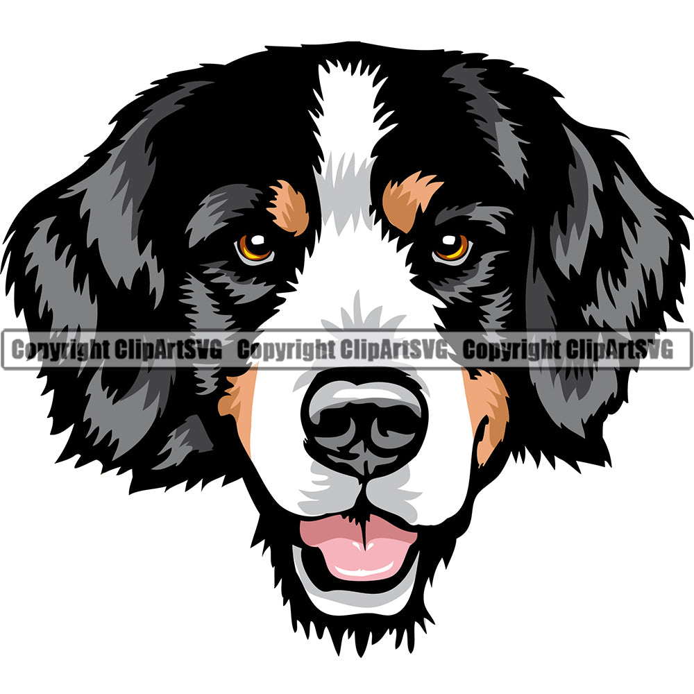 Download Bernese Mountain Dog Breed Head Color Clipart Svg Clipart Svg PSD Mockup Templates