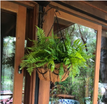 Fake outdoor plant balcony