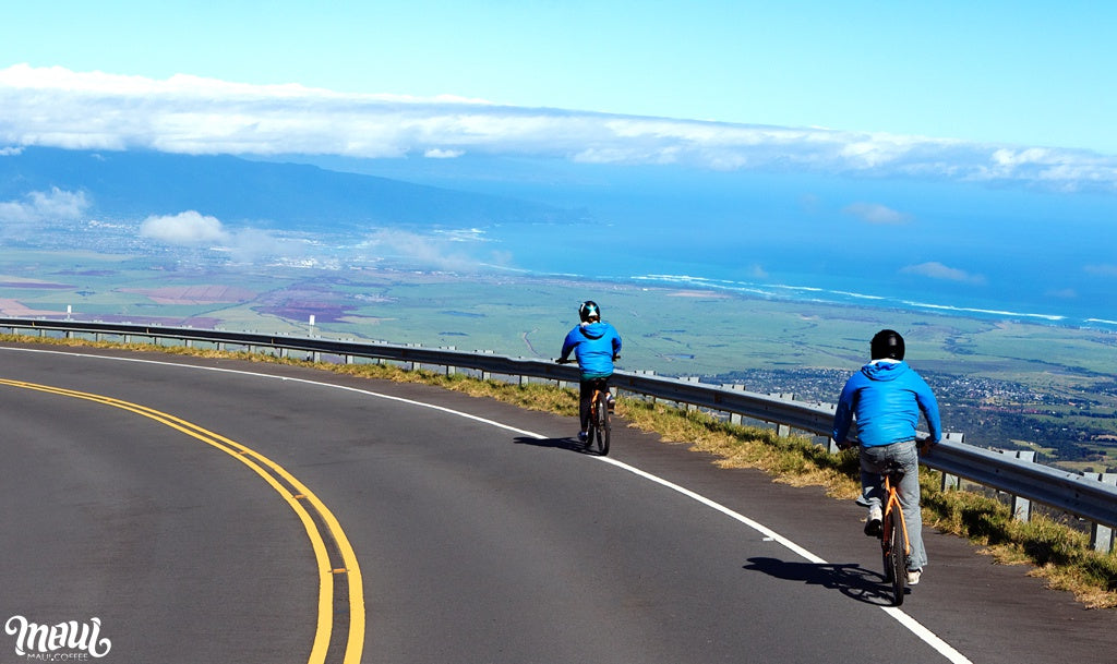 biking down Haleakala