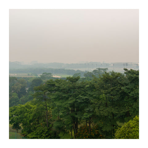 Hazy view of a forested area in Singapore