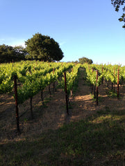 Mathis Vineyard - Early Morning, Grenache, Sonoma Valley