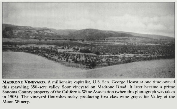 Madrone Ranch now Bedrock Vineyard in 1905 photo