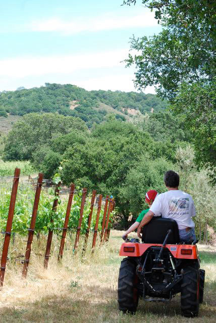 Peter Mathis on tractor in Mathis Vineyard, Grenache grapes