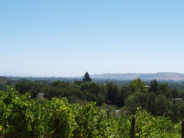 Marin county in background towards San Francisco