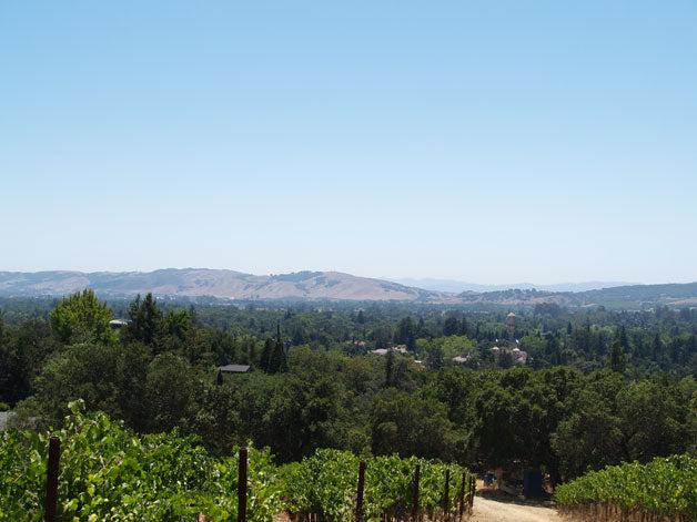 Southwest across Sonoma Valley floor