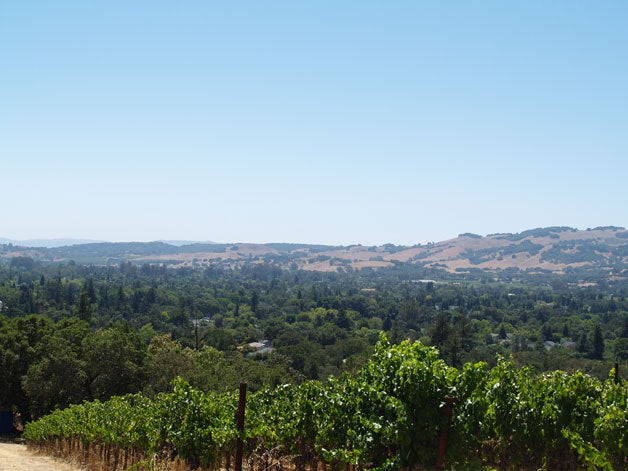 Southwest Sonoma Valley below the vineyard