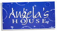 Angela's House Paints