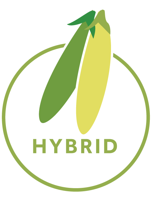 Hybrid