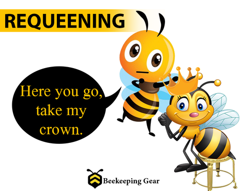 Honey Bee Queens