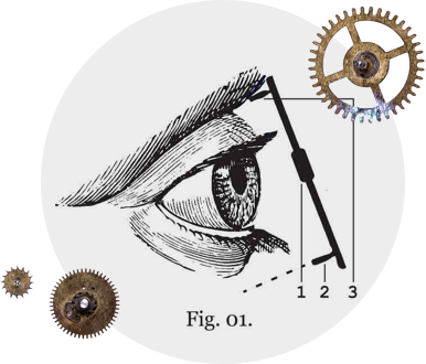 schematic image of a monocle gallery