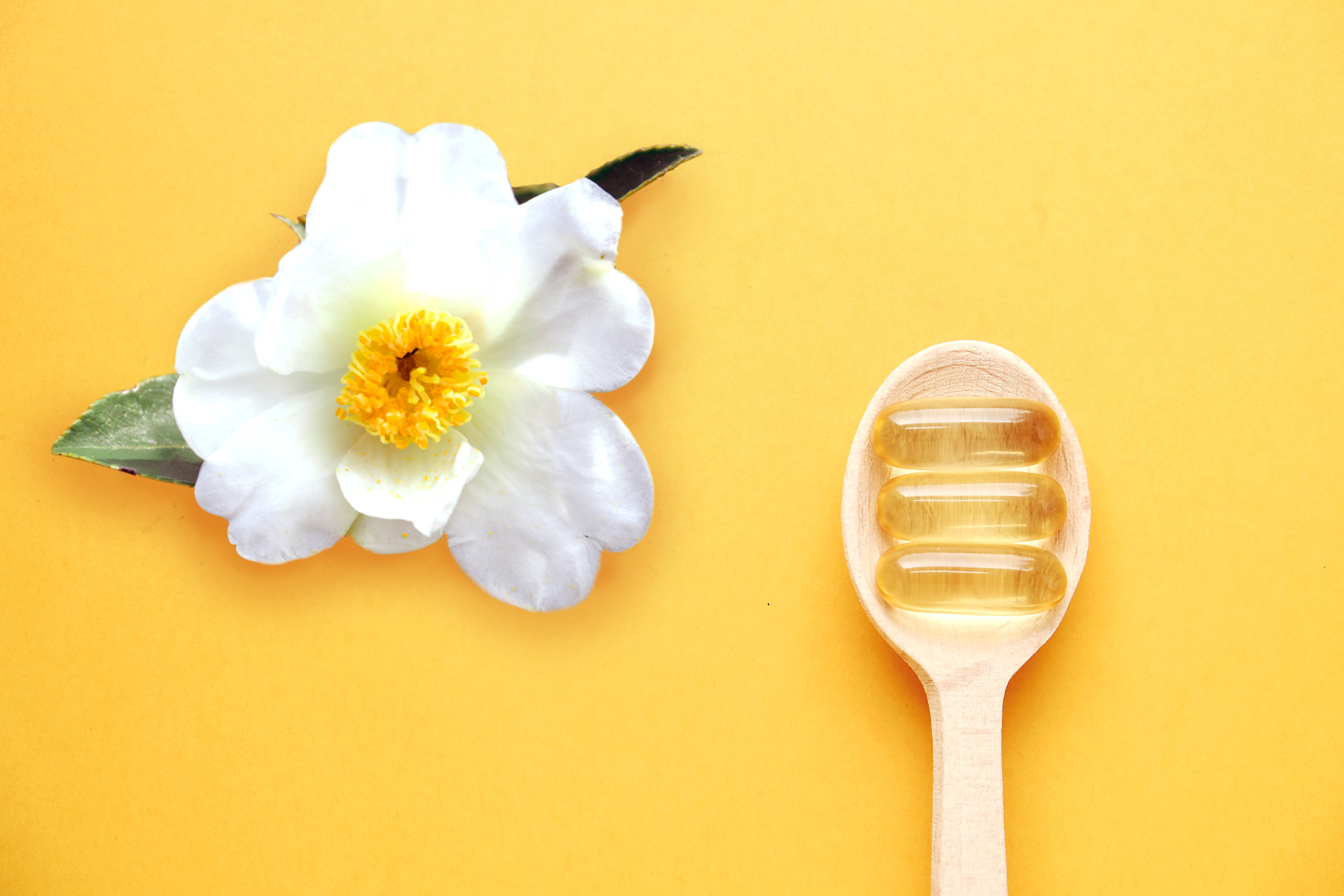 picture of camellia flower with a spoon holding supplements