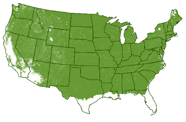 2-8 outdoors
Map