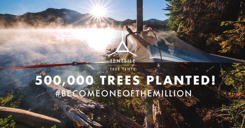 500,000 Trees planted
