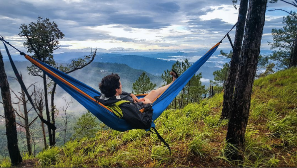 hammocks with view