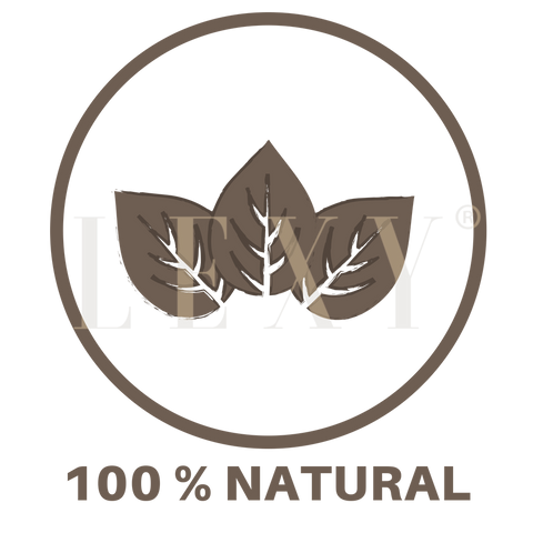 lexy-100-natural-icon