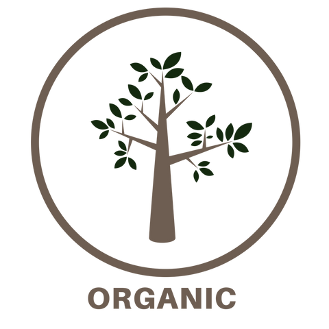 lexy-organic-icon
