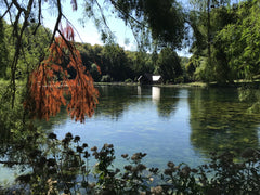 pond and boat house