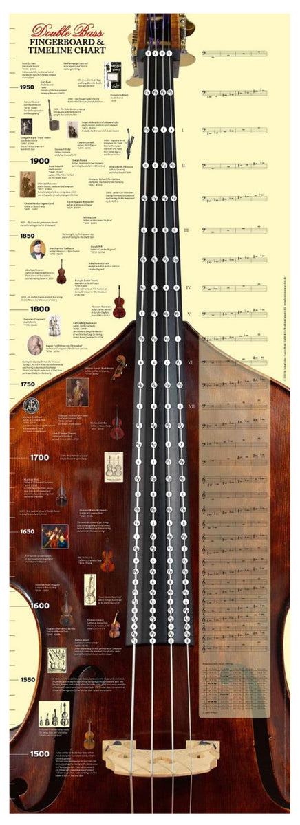 double bass fretboard