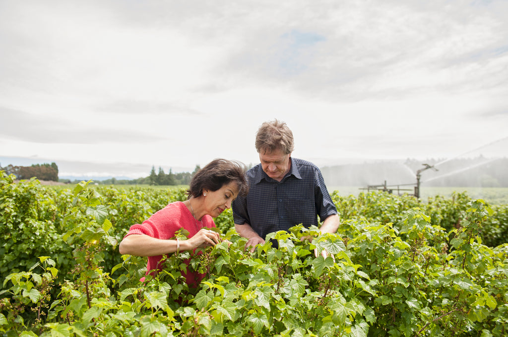 Growers Tony & Afsaneh Howey On ViBERi Organic Orchard