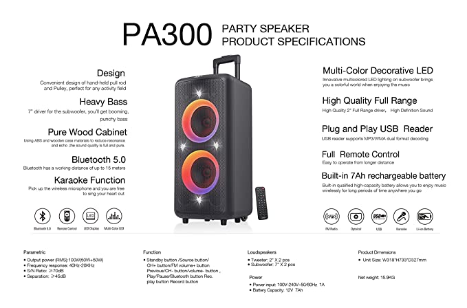 f&d pa300 party speaker