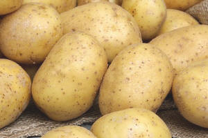 Pommes de terre Bio Chair tendre, Maiwen