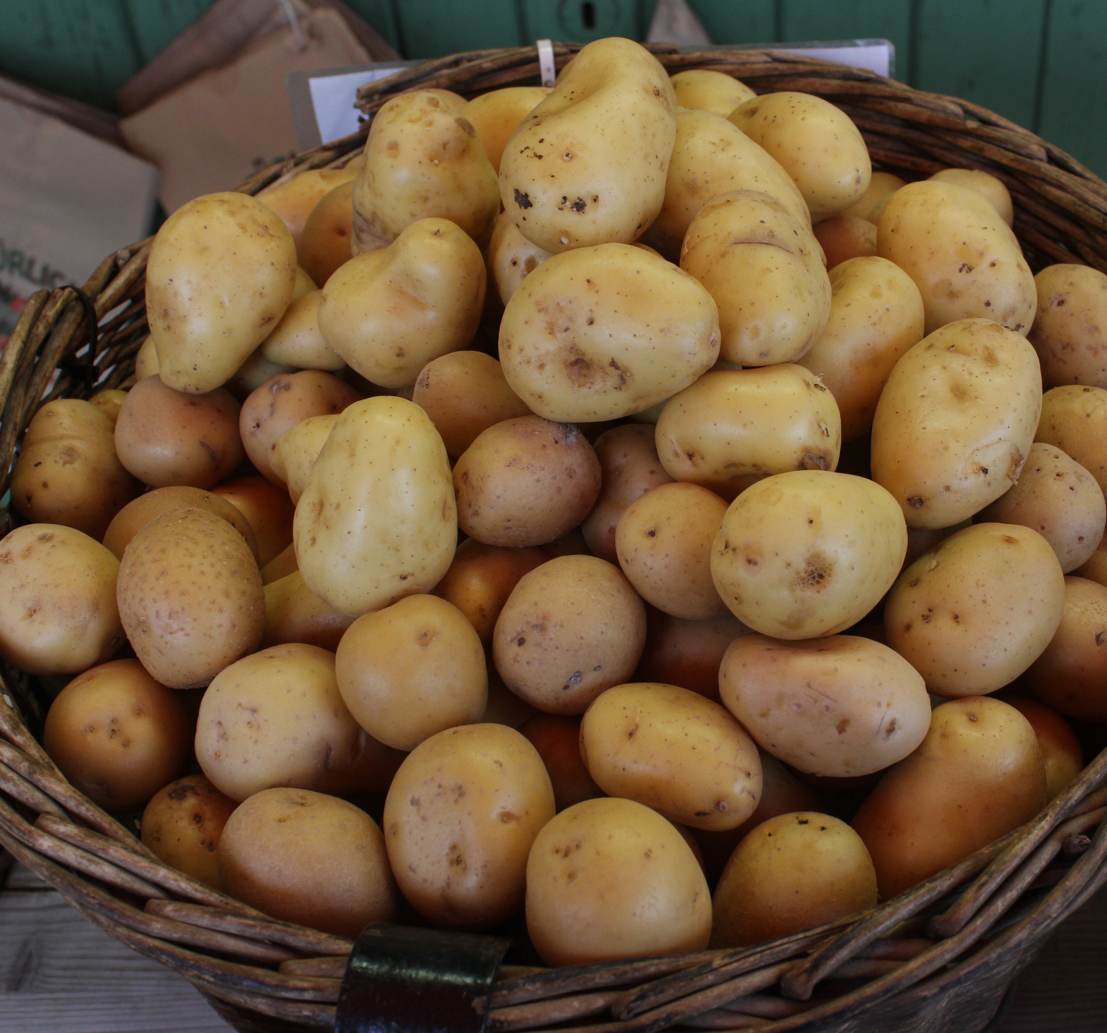 Pommes de terre grenaille BIO