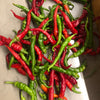 Chilli 'Cayenne' Heirloom Seeds