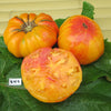 Tomato "Pineapple" Heirloom Seeds