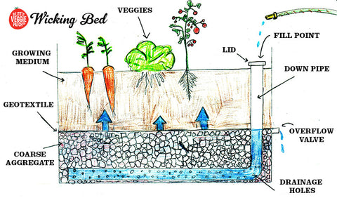 How To Build A Wicking Bed The Little Veggie Patch Co