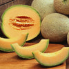 Rockmelon 'Hales Jumbo' Heirloom Seeds