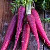 Carrot 'Cosmic Purple' Heirloom Seeds