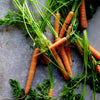 Carrot 'Baby Amsterdam' Heirloom Seeds